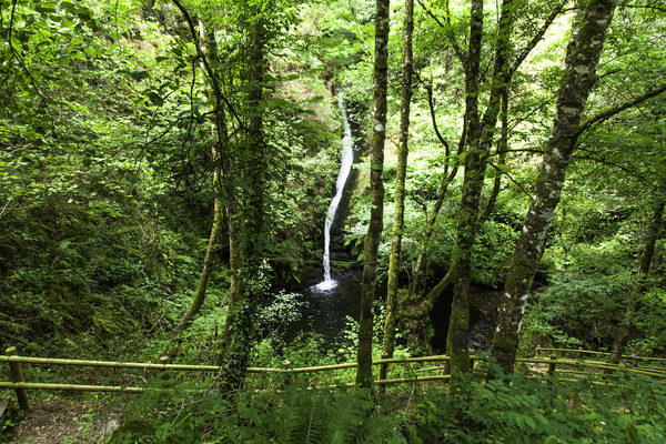 Ruta de Quexoiro