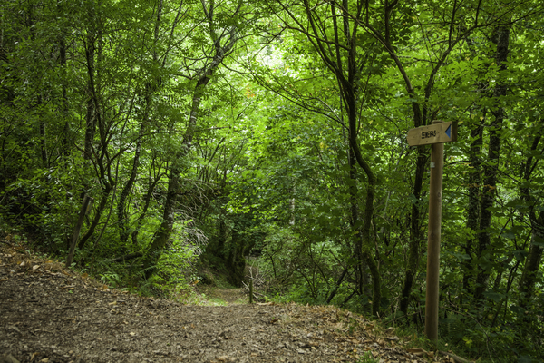 Ruta de Quexoiro